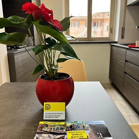 Domus Matilde Apartment *
